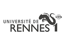 ESIR - École Supérieure d'Ingénieurs de Rennes Université