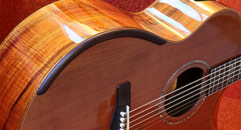 Guitar Manufacturer