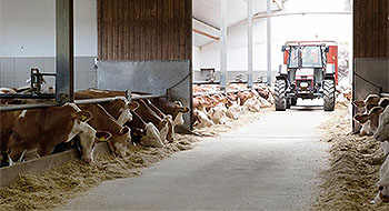 Viehvermarktungsgenossenschaft Oberbayern-Schwaben