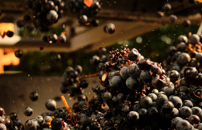 Azienda Agricola Montevetrano