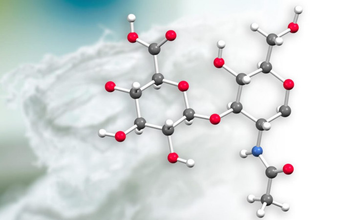 Chimie: Fabrication de hyaluronate de sodium