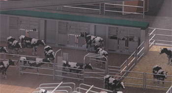 élevage