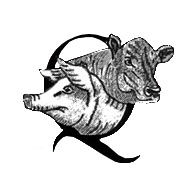 P. Quintaine & Sons Ltd.