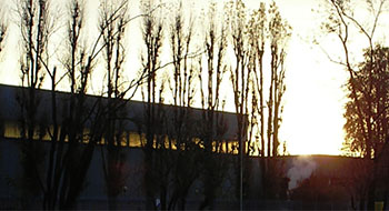 carrarovalvole