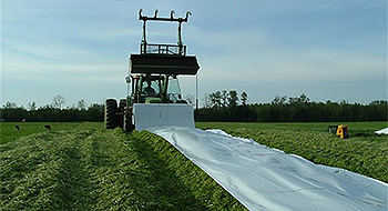 Canadian Hay and Silage