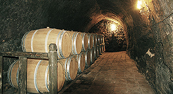 Import Italian Wines