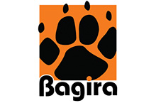 Bagira Systems Ltd.