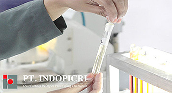 INDOPICRI