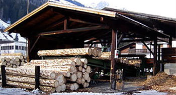 Oberhofer Holzindustrie