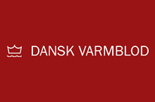 Dansk Varmblod