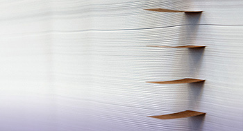 Pulp & Paper