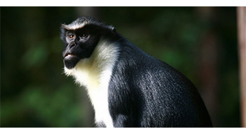 Parc zoologique
