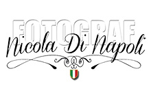 Nicola Di Napoli