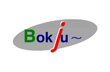 Bokju Co., Ltd
