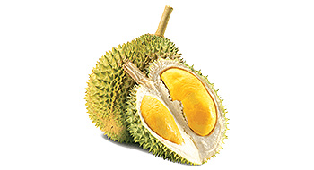 Manufacturer & Exporter of premium quality durian and durian products