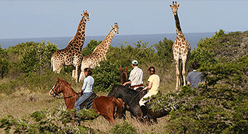 Travel to own lodge in South Africa