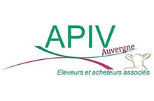 APIV Auvergne