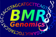 BMR Genomics srl