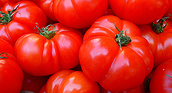 Hobbies and DIY,Hotels and Accomadation, Gastronomy, Catering, Canteens,Consumers´ Goods,Foodstuffs, Luxury Food,  Beverage Industry,Alcoholic Beverage Industry, Wineries, Viticulture