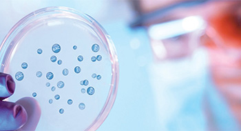 BioTechnology Solutions