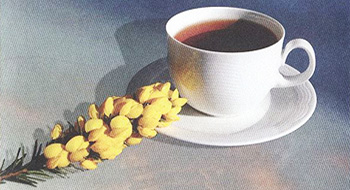 Agulhas Honeybush Tea
