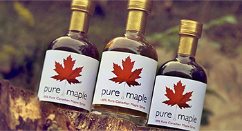 Maple