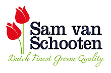 Sam Van Schooten B.V.