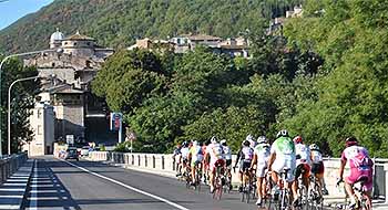Tour Operator