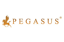 Pegasus Mortgage + Financial Solutions