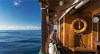 Cruise