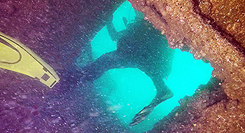 plongée sous-marine
