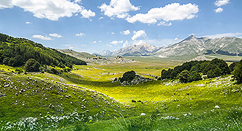 Luiten