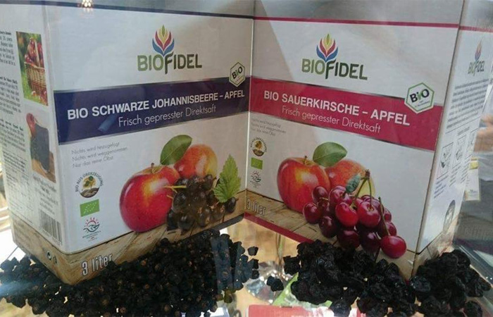 Biofidel