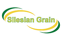 Silesian Grain