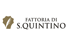 Fattoria di San Quintino, Soc. Agr. di Cecchi
