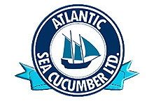 Atlantic Sea Cucumber Ltd.