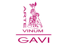 Gavi GmbH