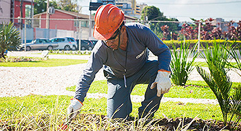 construçao