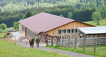 M-Ranch