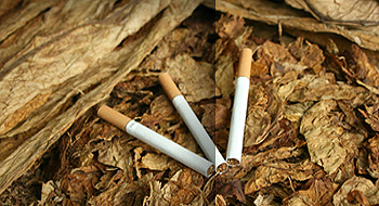 Camtek Tobacco International