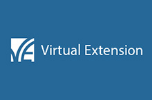 Virtual Extension Ltd.