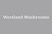 Westland Mushrooms B.V.