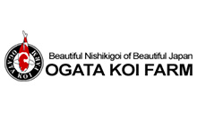 Ogata Koi Farm Co., Ltd.