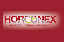 Horconex