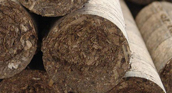 densifié ecologique