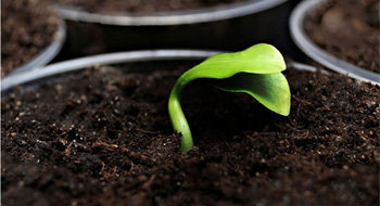 Greenology