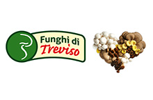 Consorzio Funghi Di Treviso
