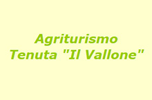 Tenuta Il Vallone - Agriturismo