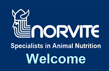 Norvite Animal Nutrition Co Ltd
