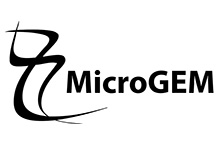 Microgem International PLC